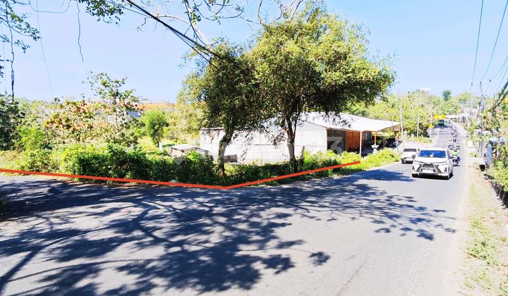 Commercial Land Jl Dharmawangsa Ungasan