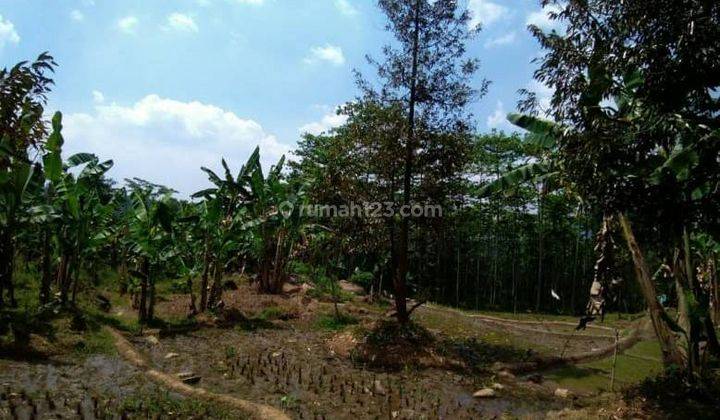 Jual Tanah Murah di Tanjungsari, Cariu ,jonggol, Bogor 1