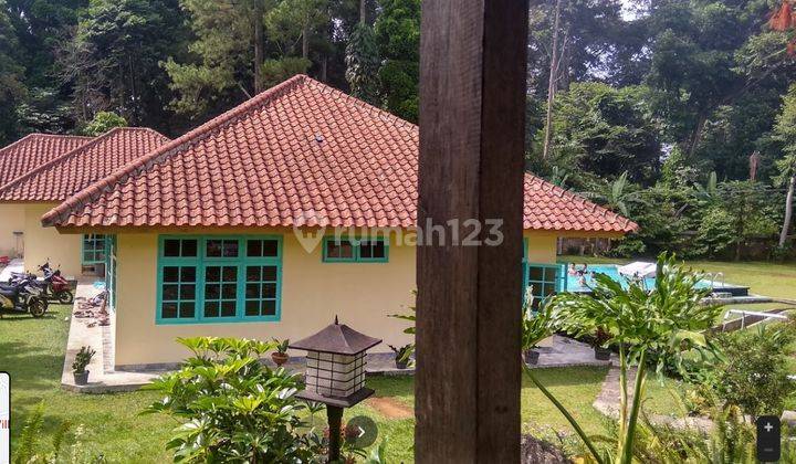 Jual Cepat Rumah Bagus Untuk Villa di Megamendung 1