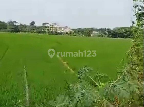 Tanah SHM 20.000 m² Jalan Internasional Karawang 7