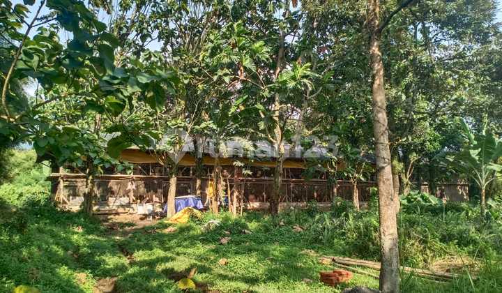 SHM Land 11,591 m2 in Cijeruk, Cipelang, Bogor