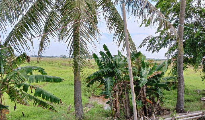 Tanah di Kec. Mauk, Kab. Tangerang SHM 5 Ha 1