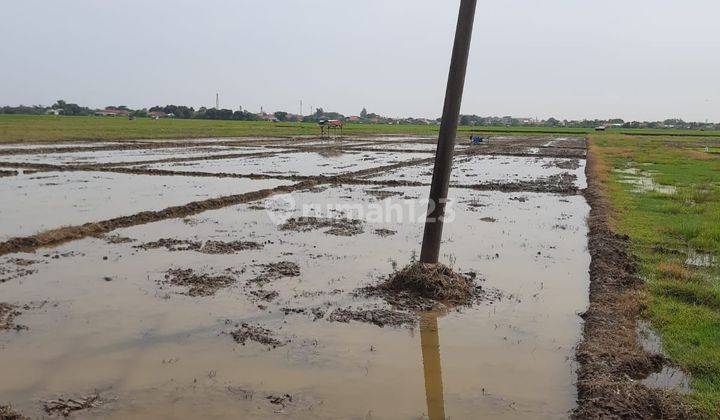 Kavling Cocok Untuk Pabrik Atau Gudang Bisa Di Lewati Truck Di Pemalang Jawa Tengah  2