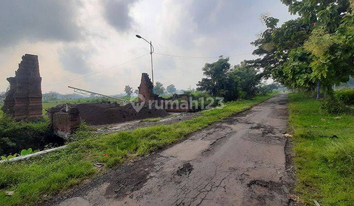 Tanah Murah Kertosari Kutorejo Mojokerto Dijual Cepat B.u Poll 2