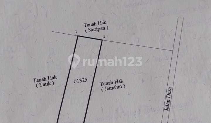 Tanah Murah Randupadangan Menganti Gresik Dijual cpt B.U L 2370m2