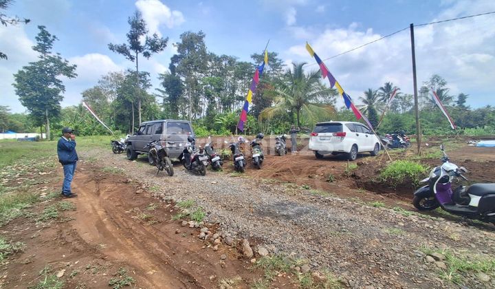 Promo Tanah Kavling Murah Slamet Tumpang Harga 50 Jtan Row 9 M