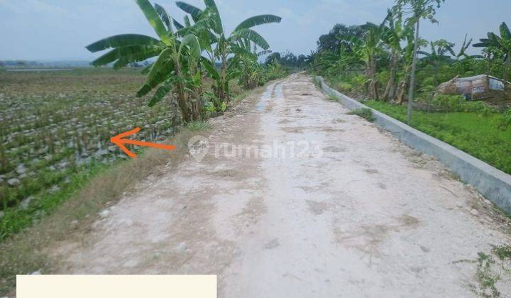 Tanah Sawah Murah Semanding Bojonegoro Jl. Ngampel Dijual Cpt B.u 2