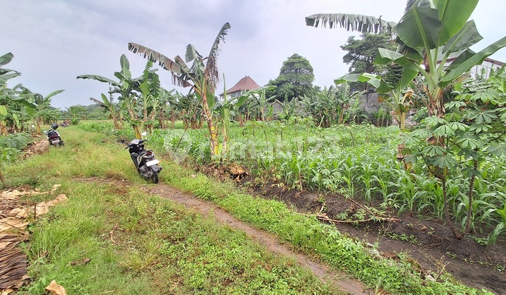 Cheap Land Srembi Kebomas Gresik for Sale Quick Edition B.u Poll SHM