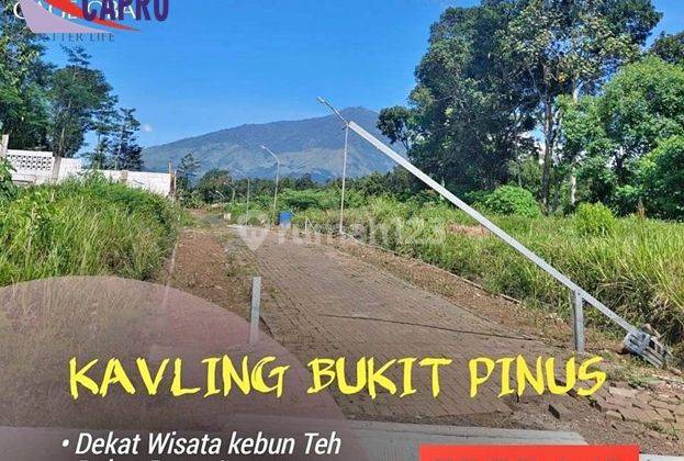 Tanah Kavling Murah Ketindan Lawang Malang View Gunung Arjuno 1