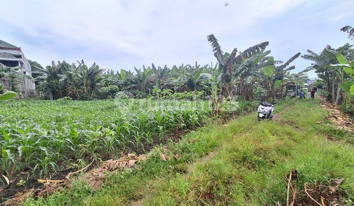 Cheap Land Srembi Kebomas Gresik for Sale Quick Edition B.u Poll SHM