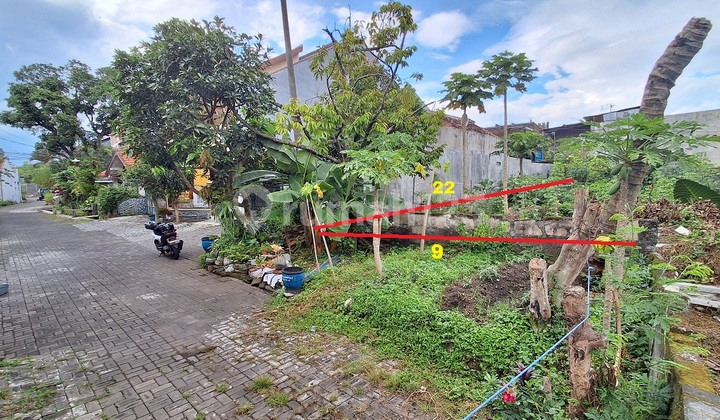 Tanah Tunjungsekar Lowokwaru Malang Kota Ikan Gurami Jual Cpt B.u