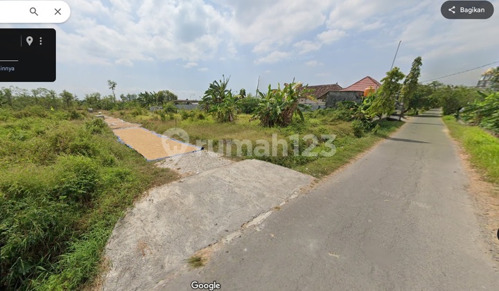 Tanah Murah Tanjung Lamongan Dijual cpt B.U Poll dkt Jl. Provinsi Tanah Murah Tanjung Lamongan Dijual cpt B.U Poll dkt Jl. Provinsi