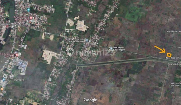 Tanah Sawah Murah Semanding Bojonegoro Jl. Ngampel Dijual Cpt B.u 2