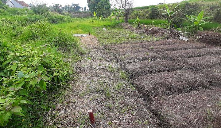 Tanah Tegalgondo Karangploso Malang Dijual Cepat B.u Poll Dkt Umm 2