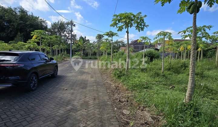 Promo Tanah Kavling Murah Tambakasri Tajinan Malang SHM Split