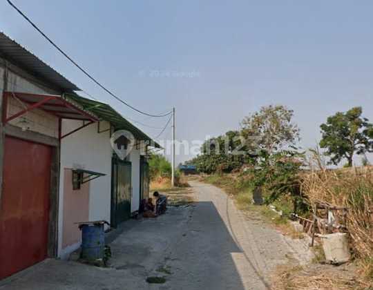 Tanah murah Domas Menganti Gresik Dijual cpt B.U Poll dkt Jl Raya Tanah murah Domas Menganti Gresik Dijual cpt B.U Poll dkt Jl Raya