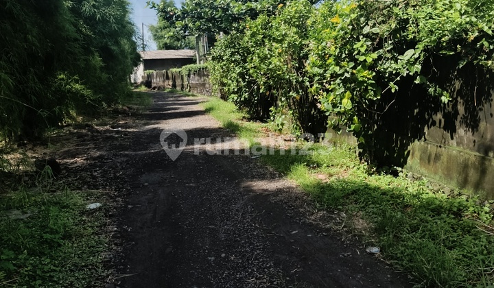 tanah 1500 m2 dekat pantai kelating