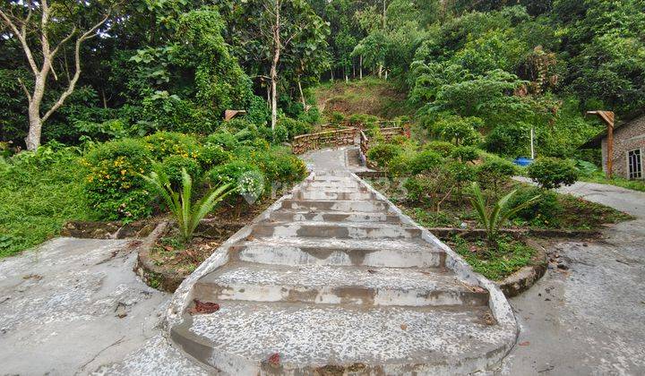 Tanah murah view laut wisata gunung kucing bandar lampung 4