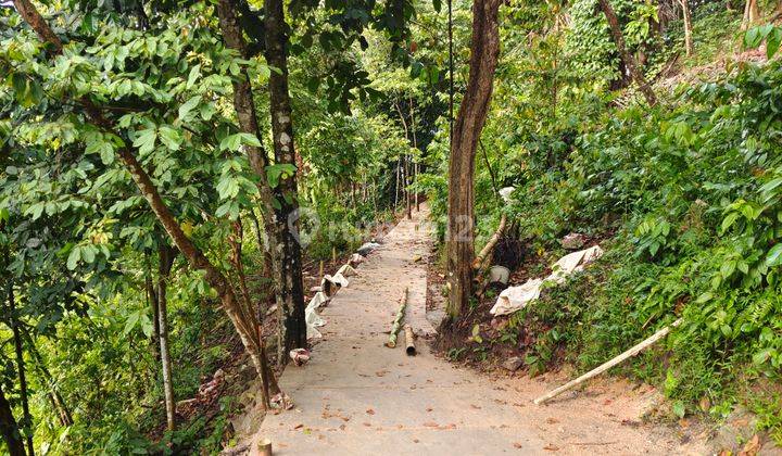 Tanah murah view laut wisata gunung kucing bandar lampung 7