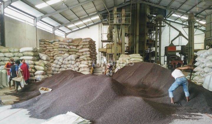 Gudang di Jl insinyur Sutami Panjang Bandar Lampung 6
