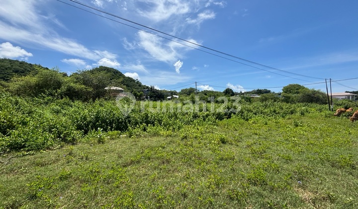 Tanah Datar 2.000 M2. Lokasi Adem Pinggir Jalan Raya Lebar. Bagus Untuk Rumah Tinggal