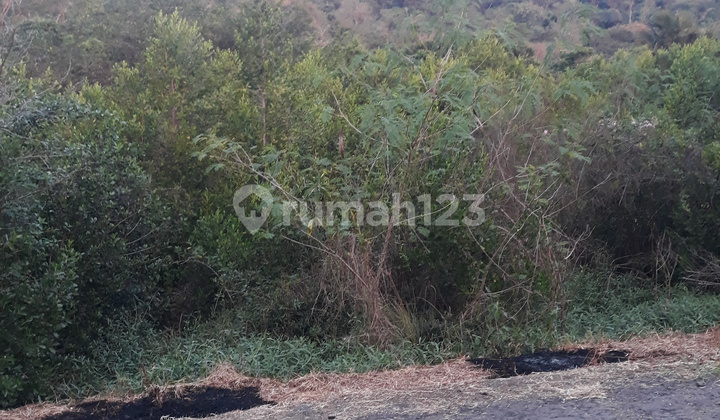 Tanah Di Dekat Hotel Jayakarta, Labuan Bajo. Tanah Pinggir Jalan Raya, Lokasi Tenang. Bagus Untuk Hotel Tanah Di Dekat Hotel Jayakarta, Labuan Bajo. Tanah Pinggir Jalan Raya, Lokasi Tenang. Bagus Untuk Hotel