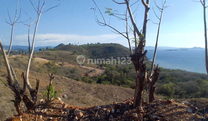 Tanah Super Strategis di Bukit Dengan Pemandangan Laut Lepas Dan Sunset View Terindah di Komodo Labuan Bajo 2