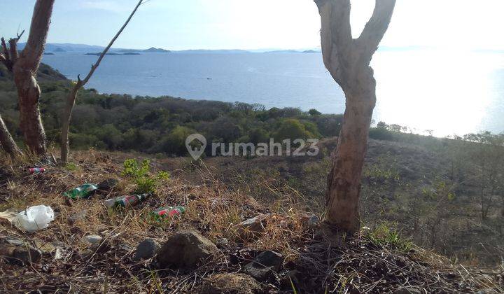 Tanah Super Strategis di Bukit Dengan Pemandangan Laut Lepas Dan Sunset View Terindah di Komodo Labuan Bajo 1