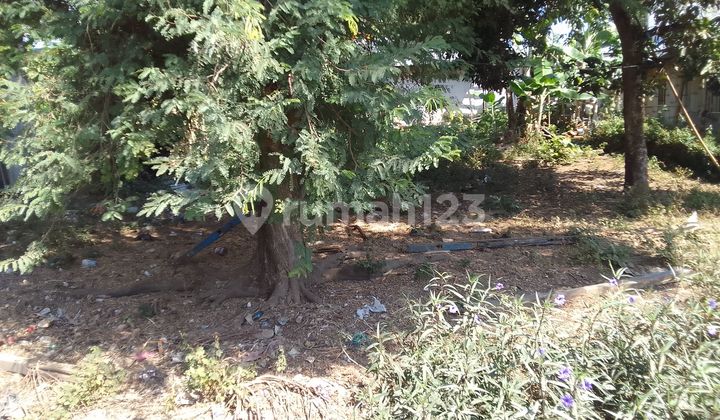 Tanah Datar Siap Bangun Dalam Kota dengan Luas 350 M2 di Labuan Bajo. Bagus untuk Rumah Pribadi