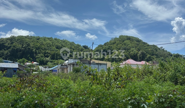 Tanah Datar Pinggir Jalan Raya Aspal 2 Mobil. Lokasi Sangat Strategis. di Waenahi, Gorontalo, Komodo, Manggarai Barat, Nusa Tenggara Timur, Indonesia, 86754, Labuan Bajo Tanah 1000.0 m²