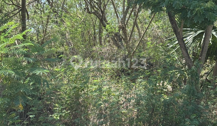 Tanah Premium di Area Bisnis Labuan Bajo. Tepat untuk Hotel Bintang 5