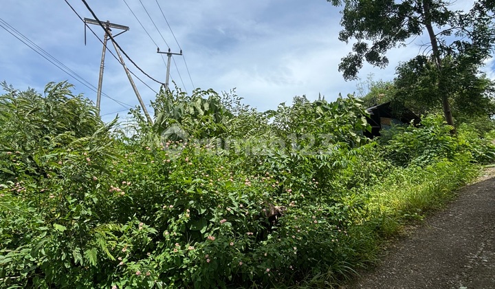 Tanah Persegi Lokasi Strategis Pinggir Jalan Raya. Cocok Untuk Di Dirikan Hunian