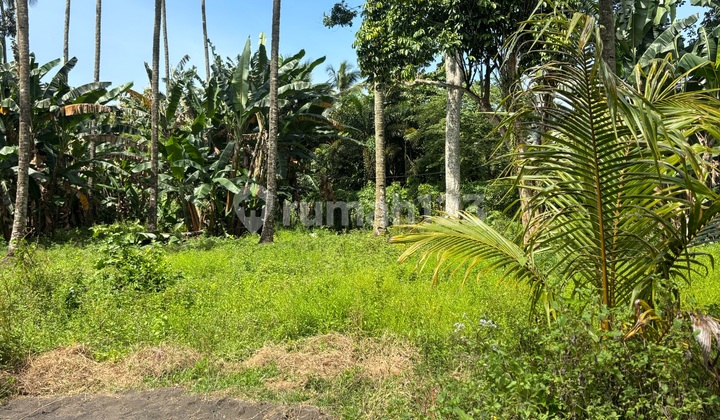Tanah Hook 1000M² Pineleng - View Alam, Udara Sejuk, Private Area, Dekat Manado