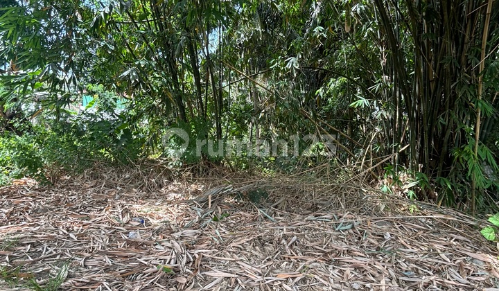 Tanah Premium di Pusat Kota. Lokasi Strategis. Pemandangan Alam dan Kota Labuan Bajo Tanah di Labuan Bajo SHM 19000.0 M² Tanah Premium di Pusat Kota. Lokasi Strategis. Pemandangan Alam dan Kota Labuan Bajo Tanah di Labuan Bajo SHM 19000.0 M²