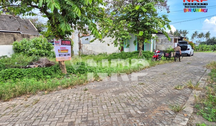 Dijual Tanah Kavling Strategis Pusat Kota Banyuwangi Akses di Jl. Kepiting - Banyuwangi Dijual Tanah Kavling Strategis Pusat Kota Banyuwangi Akses di Jl. Kepiting - Banyuwangi