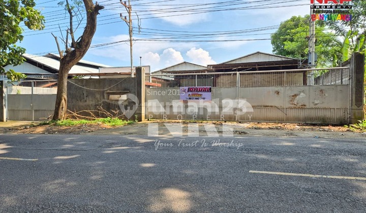 Warehouse Ready for Use for Sale in Industrial Area Jl. Argopuro - Banyuwangi Warehouse Ready for Use for Sale in Industrial Area Jl. Argopuro - Banyuwangi