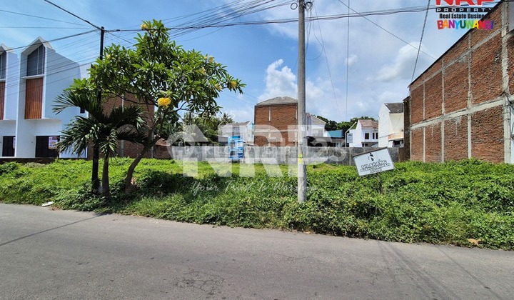 Dijual Tanah Starategis di Pusat Bisnis Jl. Kepiting - Banyuwangi Dijual Tanah Starategis di Pusat Bisnis Jl. Kepiting - Banyuwangi