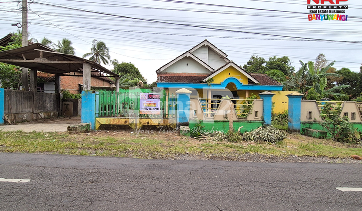 Dijual Tanah Strategis Bonus Bangunan di Sempu Banyuwangi Dijual Tanah Strategis Bonus Bangunan di Sempu Banyuwangi