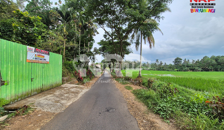 For Sale: Villa + Large Garden in Jelun Village, Banyuwangi For Sale: Villa + Large Garden in Jelun Village, Banyuwangi