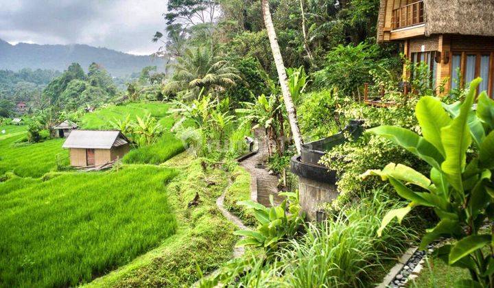 For Sale Jual Leasehold Natural Villa View Sawah Gunung Sungai Sidemen Karangasem Bali Near Ubud Sanur Amed  11