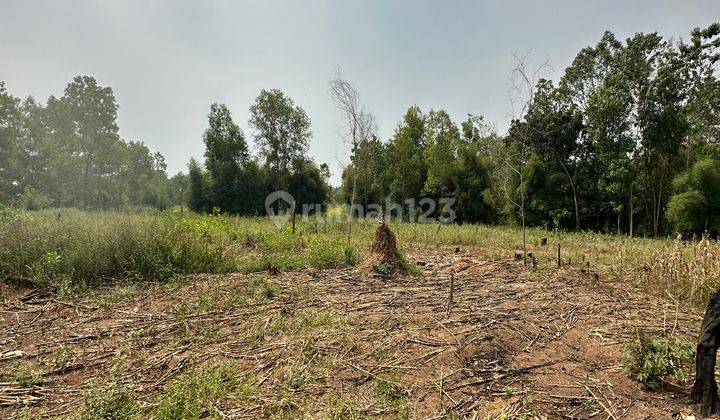 Tanah Pinggir Jalan Sangat Besar Desa Munjul Kecamatan Solear  2