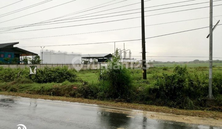 Tanah Murah Srategis Area Industri Tepi Jalan Utama Sambong Blora