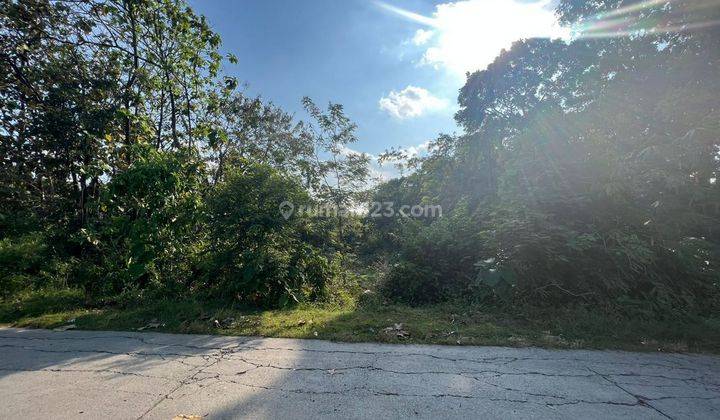 Tanah murah dekat kantor kelurahan di Tegalgiri nogosari 2