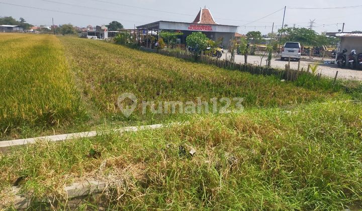 Tanah murah kawasan bisnis ums di Gonilan Kartasura Sukoharjo  2