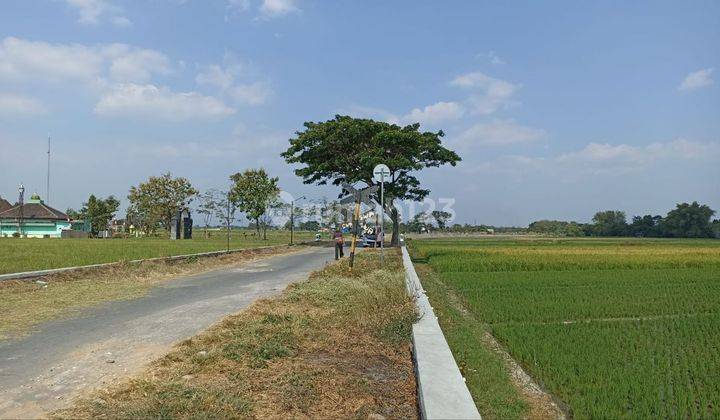 Tanah SAWAH MURAH tepi jalan desa di Tlobong Delanggu Klaten  1