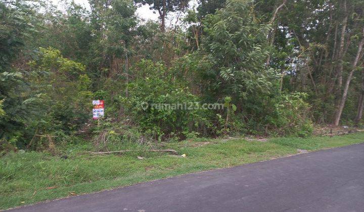 Tanah murah dekat kantor kelurahan di Tegalgiri nogosari 1