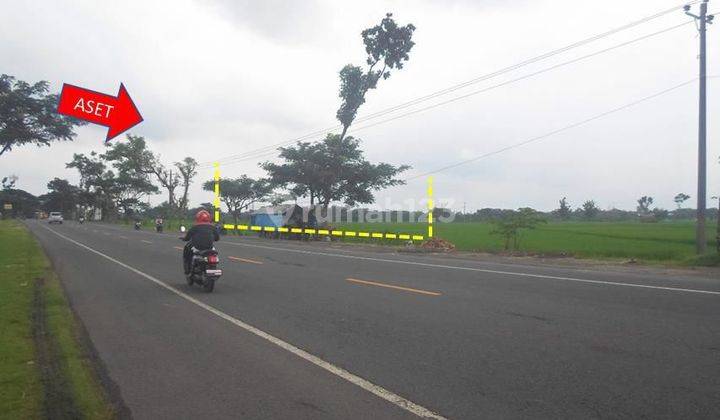 Lahan murah zona industri dekat tol di Sambung macan sragen  2