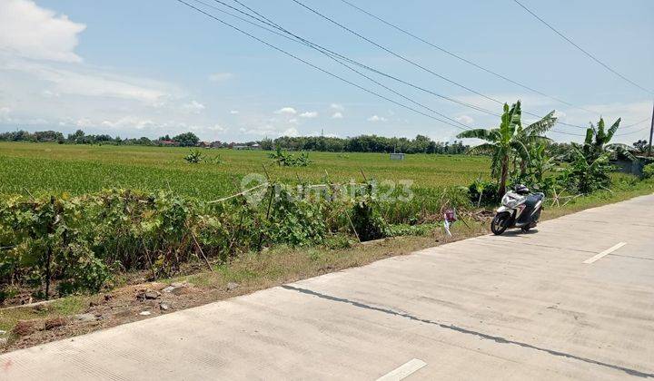 Tanah murah zona industri akses kontainer di Kalijambe Sragen 1