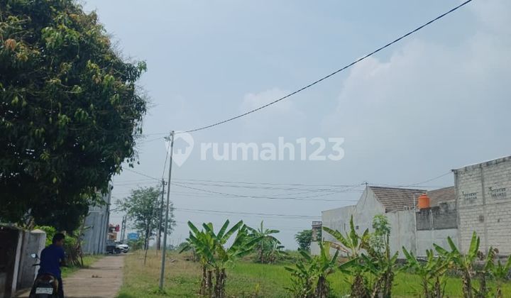 Cheap Land Productive Rice Fields Nogosari Boyolali