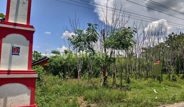 Lahan Murah Zona Merah Kawasan Industri Bendosari Sukoharjo